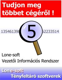 Management Information System Vezetői Információs Rendszer
